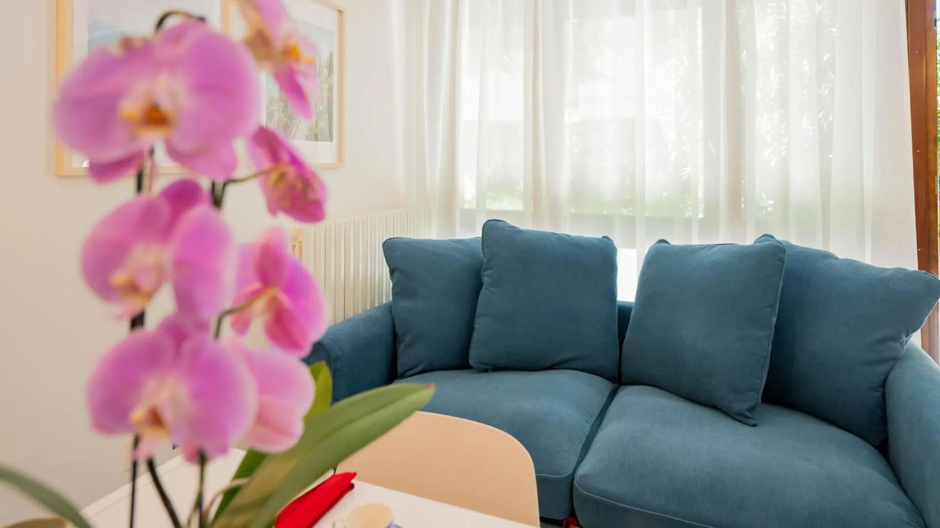 Gelsi Apartments Lake Como Lecco