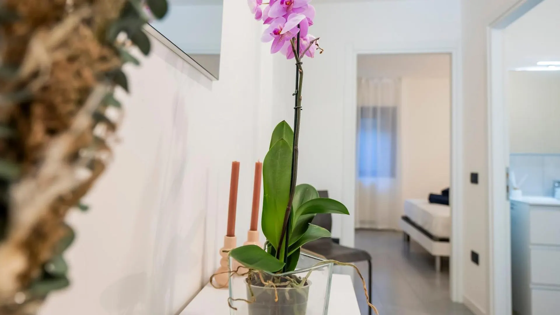 Gelsi Apartments Lake Como Lecco 0*,  Italia